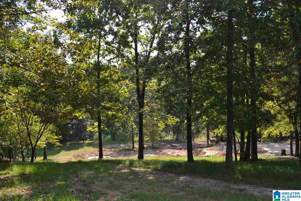 6 Pawnee Drive Pelham, AL 35124 - Photo 2 of 14