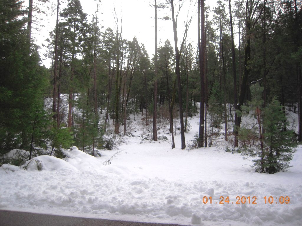 Phillips Oak Run, CA 96069 - Photo 1 of 1 Property