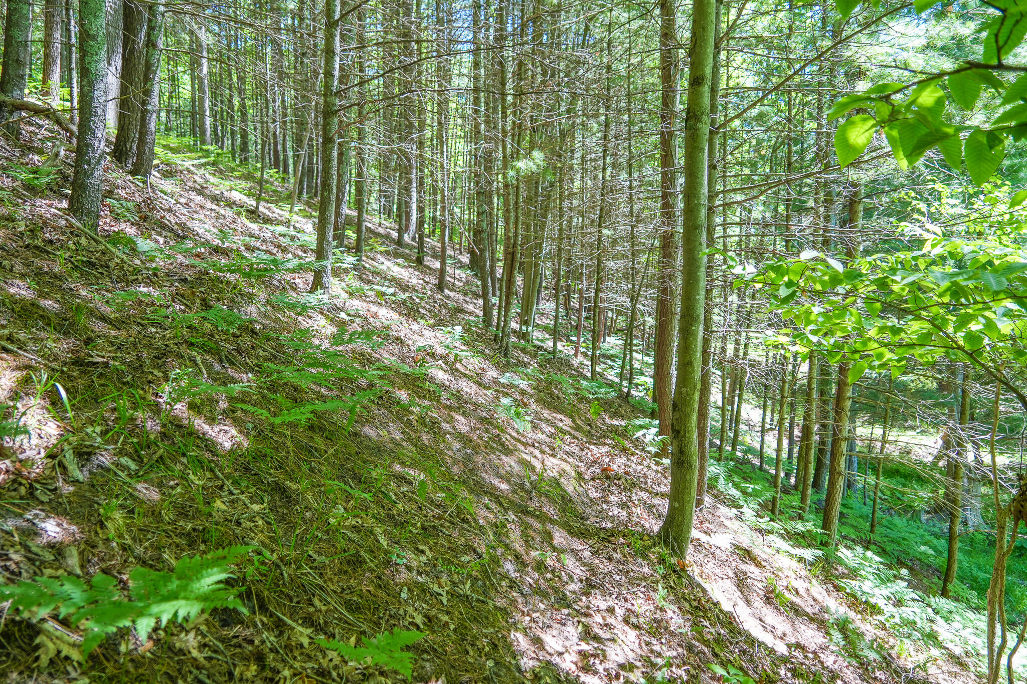 4993 Little River Road Manistee, MI 49660 - Photo 56 of 62 DSC00304