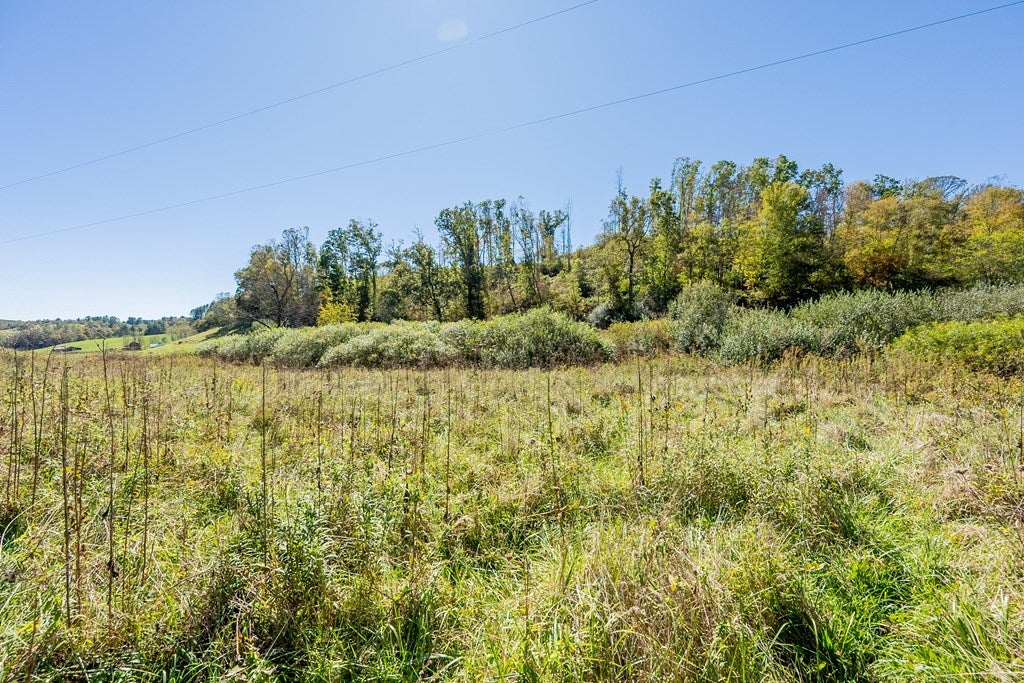 4-acres Carsonville Road Independence, VA 24348 - Photo 8 of 42 Gallery Image 8