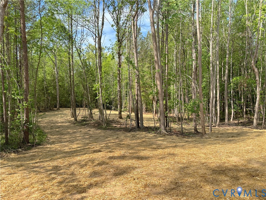 8813 River Road Petersburg, VA 23803 - Photo 44 of 55