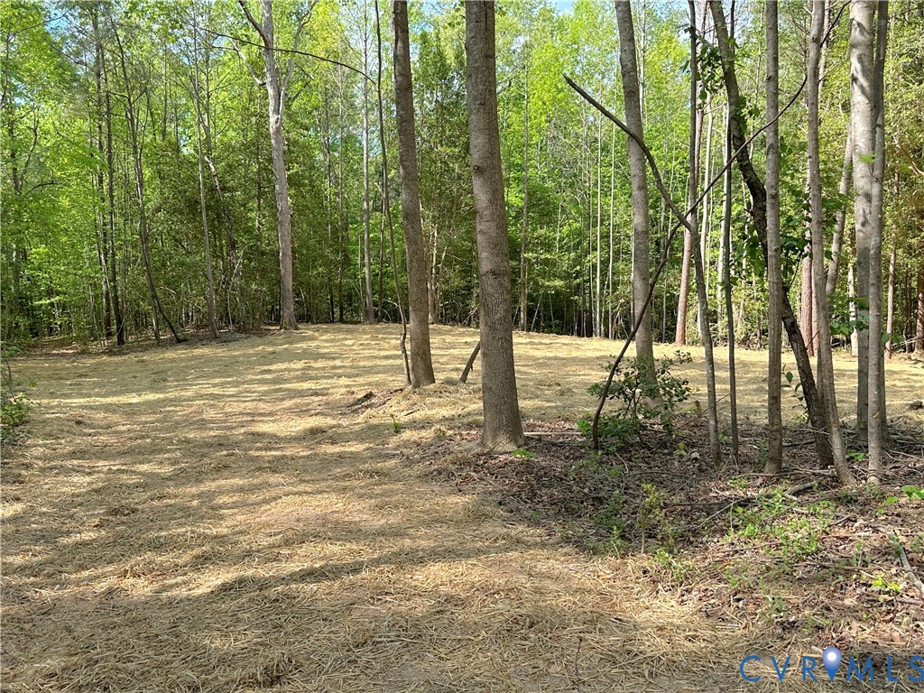 8813 River Road Petersburg, VA 23803 - Photo 45 of 55