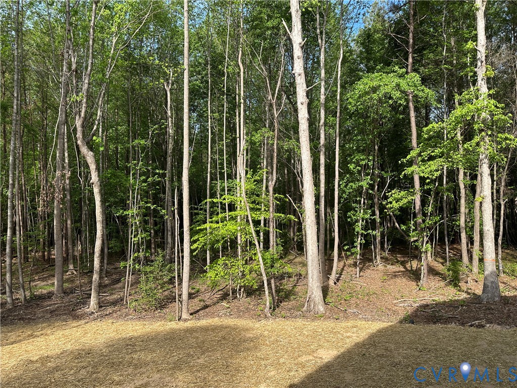 8813 River Road Petersburg, VA 23803 - Photo 52 of 55