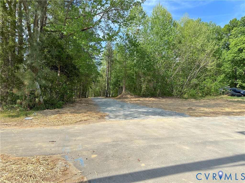 8813 River Road Petersburg, VA 23803 - Photo 53 of 55