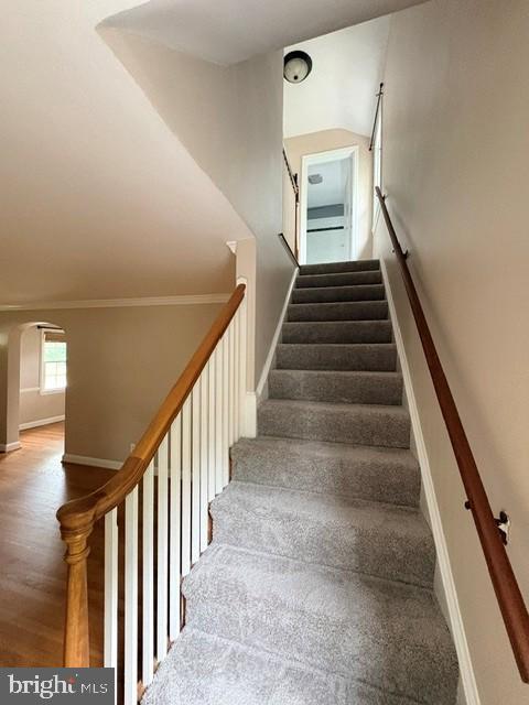 5909 Gloucester Avenue Springfield, VA 22150 - Photo 8 of 20