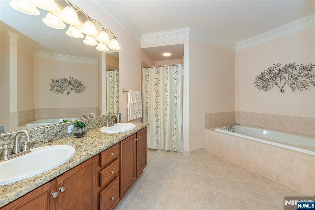 6105 Harcourt Road Clifton, NJ 07013 - Photo 21 of 23 a bathroom with a granite countertop sink mirror bathtub and shower