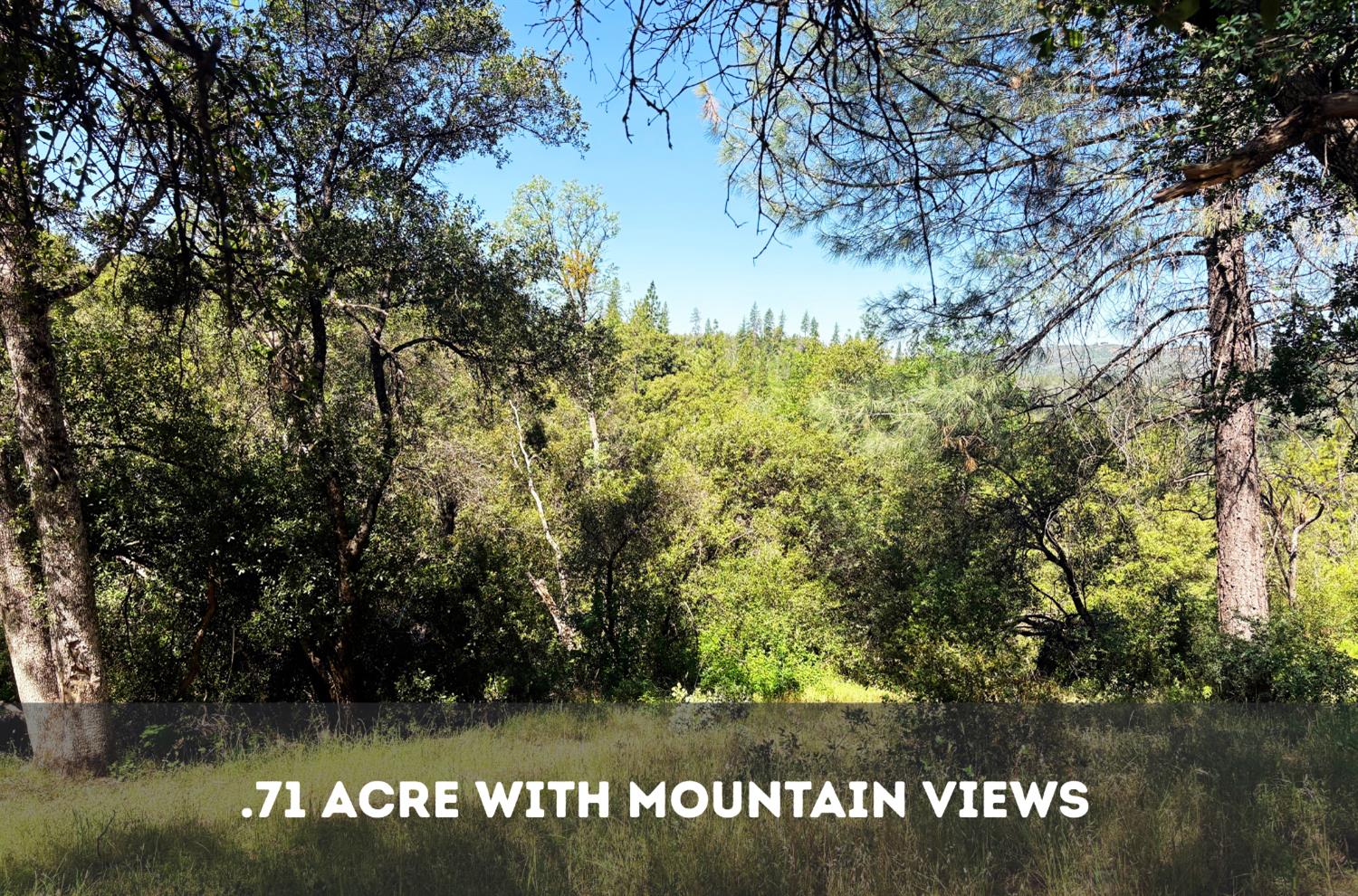 0 Sheep Ranch Road Mountain Ranch, CA 95246 - Photo 1 of 17