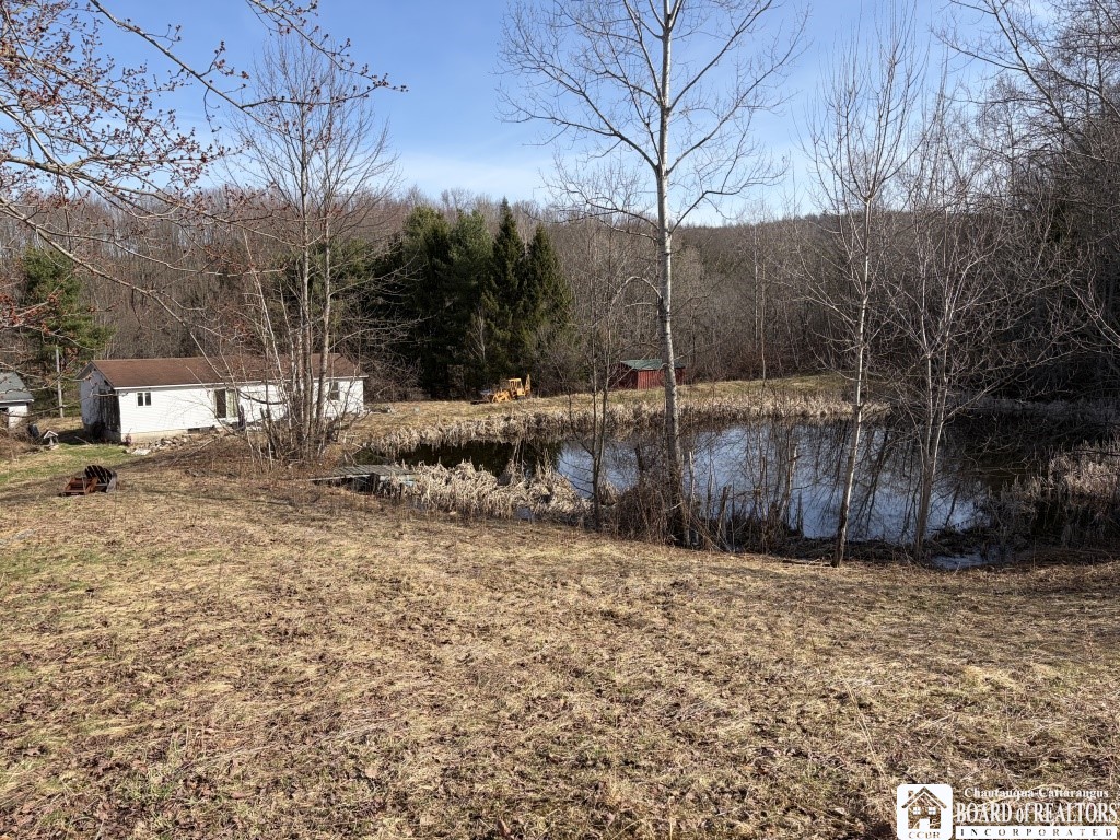 1784 Emory Hill Road Frewsburg, NY 14738 - Photo 3 of 34