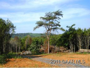 990 Lea Port Road Verona, VA 24482 - Photo 2 of 13 a view of a park