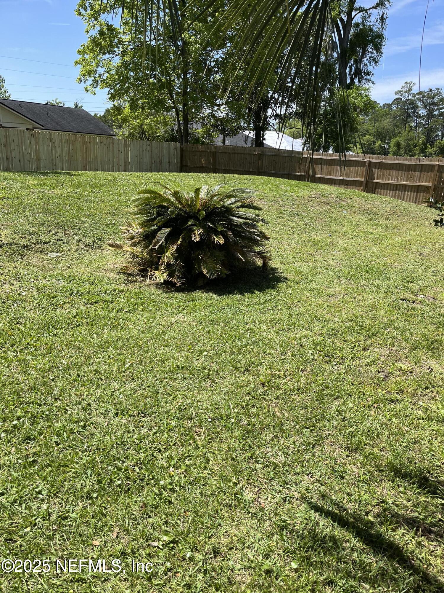 1000 Fleming Street Fleming Island, FL 32003 - Photo 17 of 17 a view of a back yard