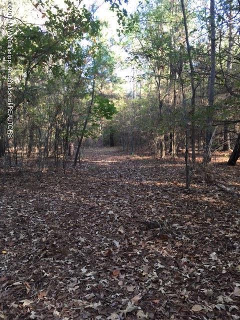 5756 Mt Olivet Road Batesville, MS 38606 - Photo 8 of 15 09CE3321-6DA0-4CF8-BE65-3A8F918DF7DA