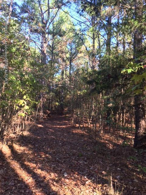 5756 Mt Olivet Road Batesville, MS 38606 - Photo 9 of 15 3B22DC3E-407F-4494-881B-2199599DE65D