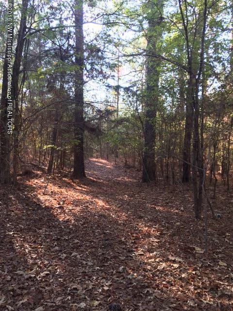 5756 Mt Olivet Road Batesville, MS 38606 - Photo 10 of 15 B2835F93-B955-426D-9F18-D2CE3062A284