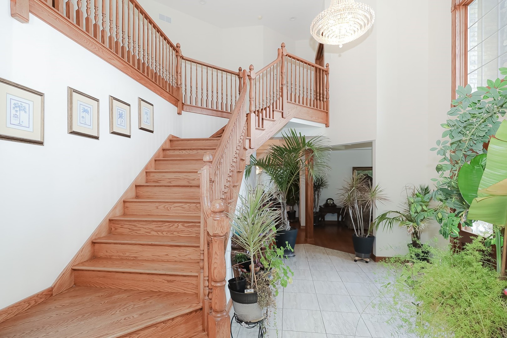 307 79th Street Burr Ridge, IL 60527 - Photo 3 of 41 a view of entryway with flower pots