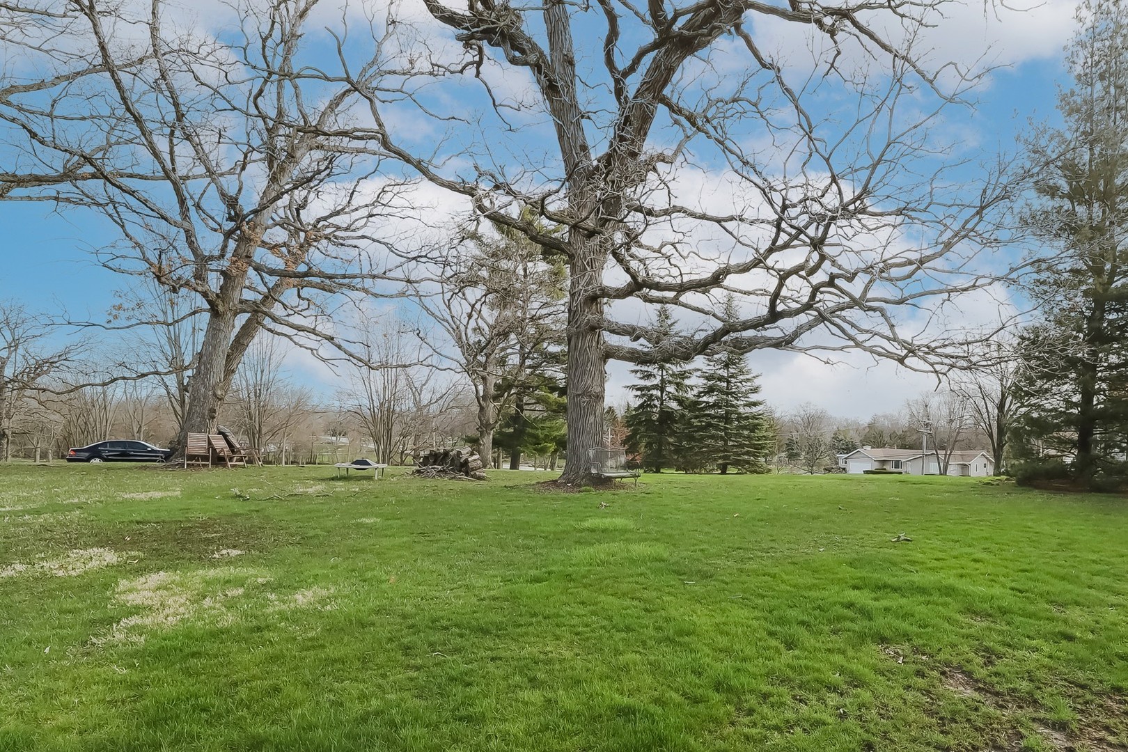 307 79th Street Burr Ridge, IL 60527 - Photo 39 of 41 a view of a trees with a yard