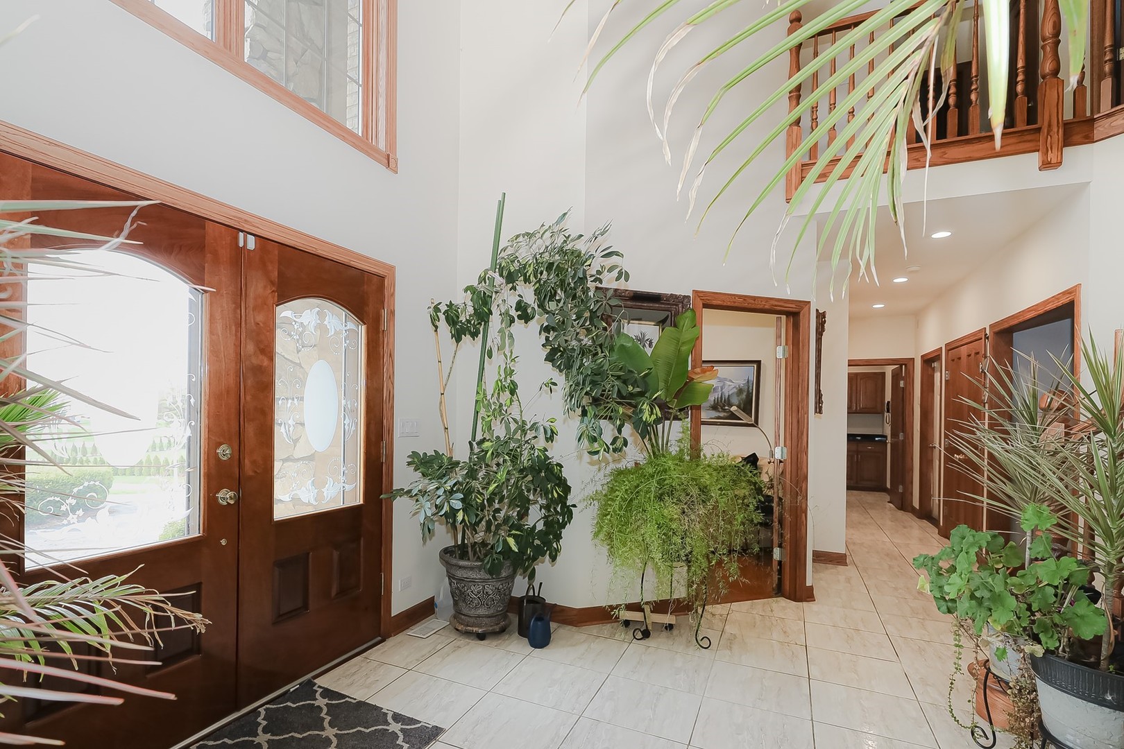 307 79th Street Burr Ridge, IL 60527 - Photo 5 of 41 a view of a potted plants with sky view