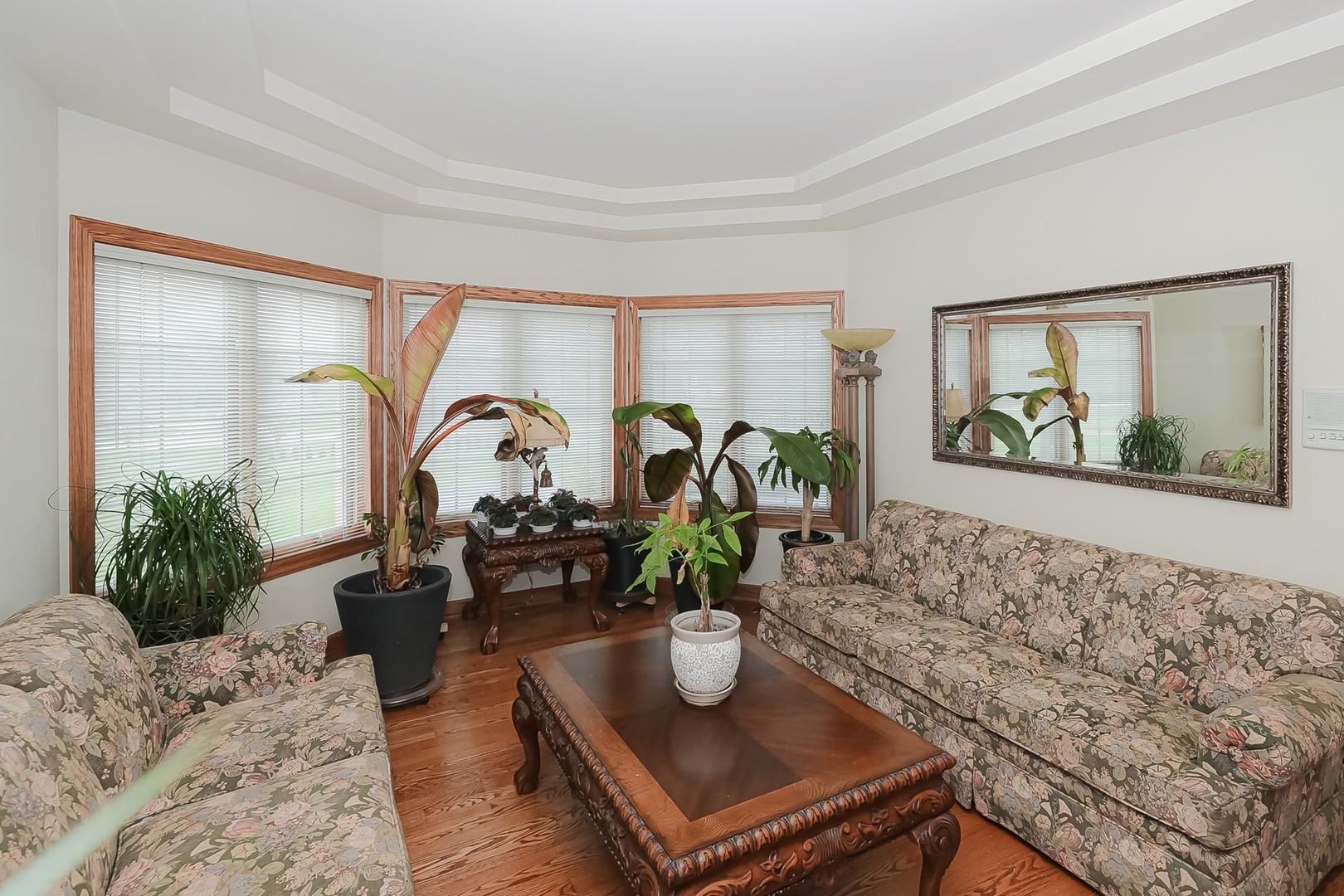 307 79th Street Burr Ridge, IL 60527 - Photo 6 of 41 a living room with furniture