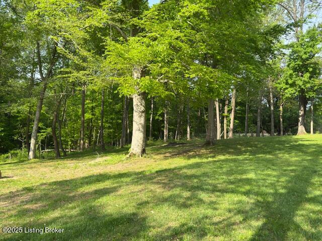 5185 Shepherdsville Road Elizabethtown, KY 42701 - Photo 31 of 34 IMG_3901