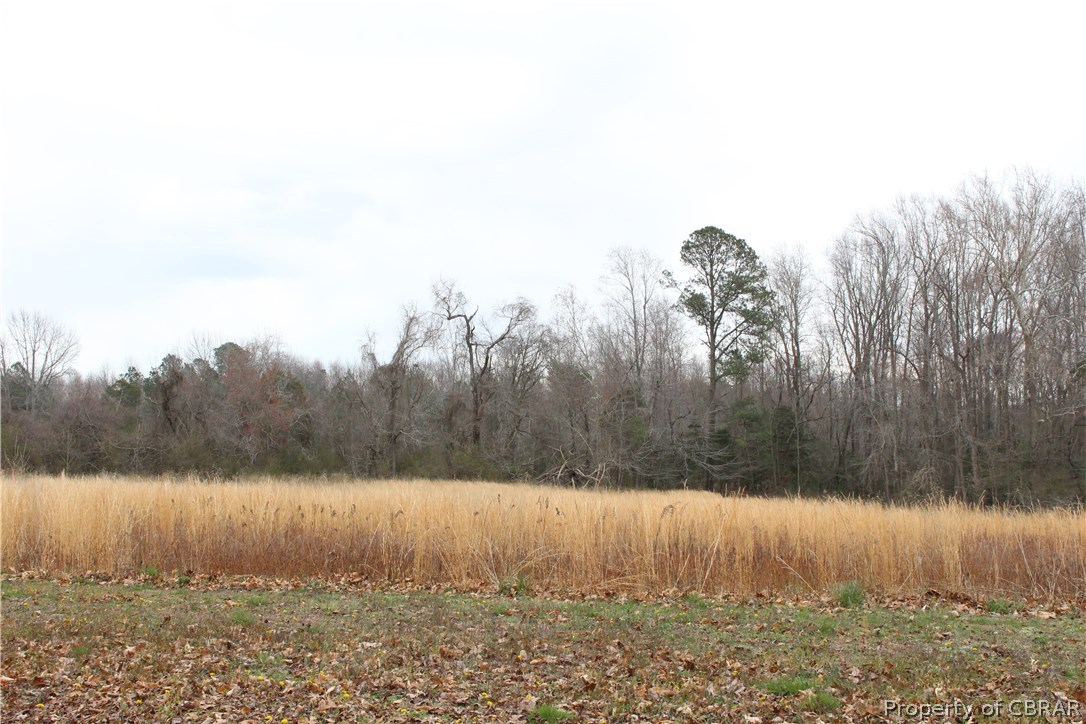 0 Old Pinetta 1.26 Acres Road Gloucester, VA 23061 - Photo 2 of 3