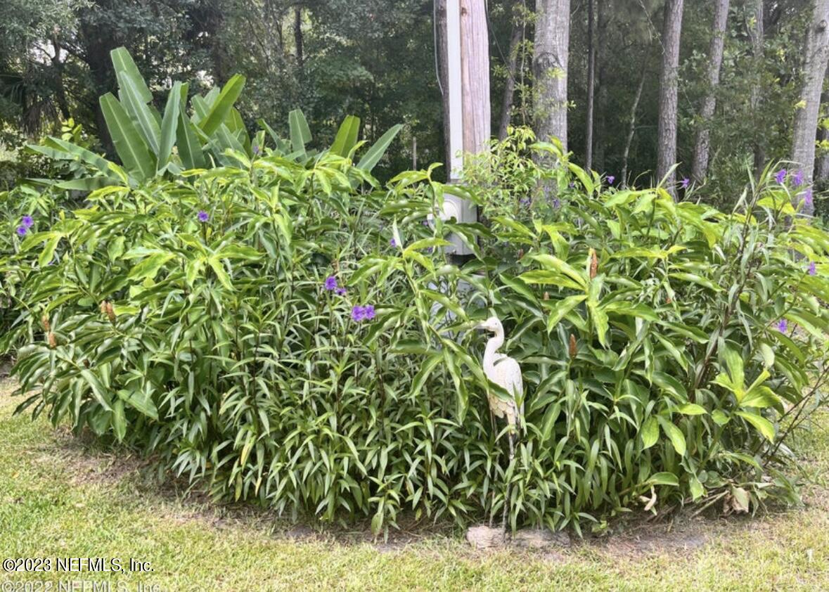 96089 Maranatha Road Yulee, FL 32097 - Photo 14 of 18 a backyard of a house with lots of green space