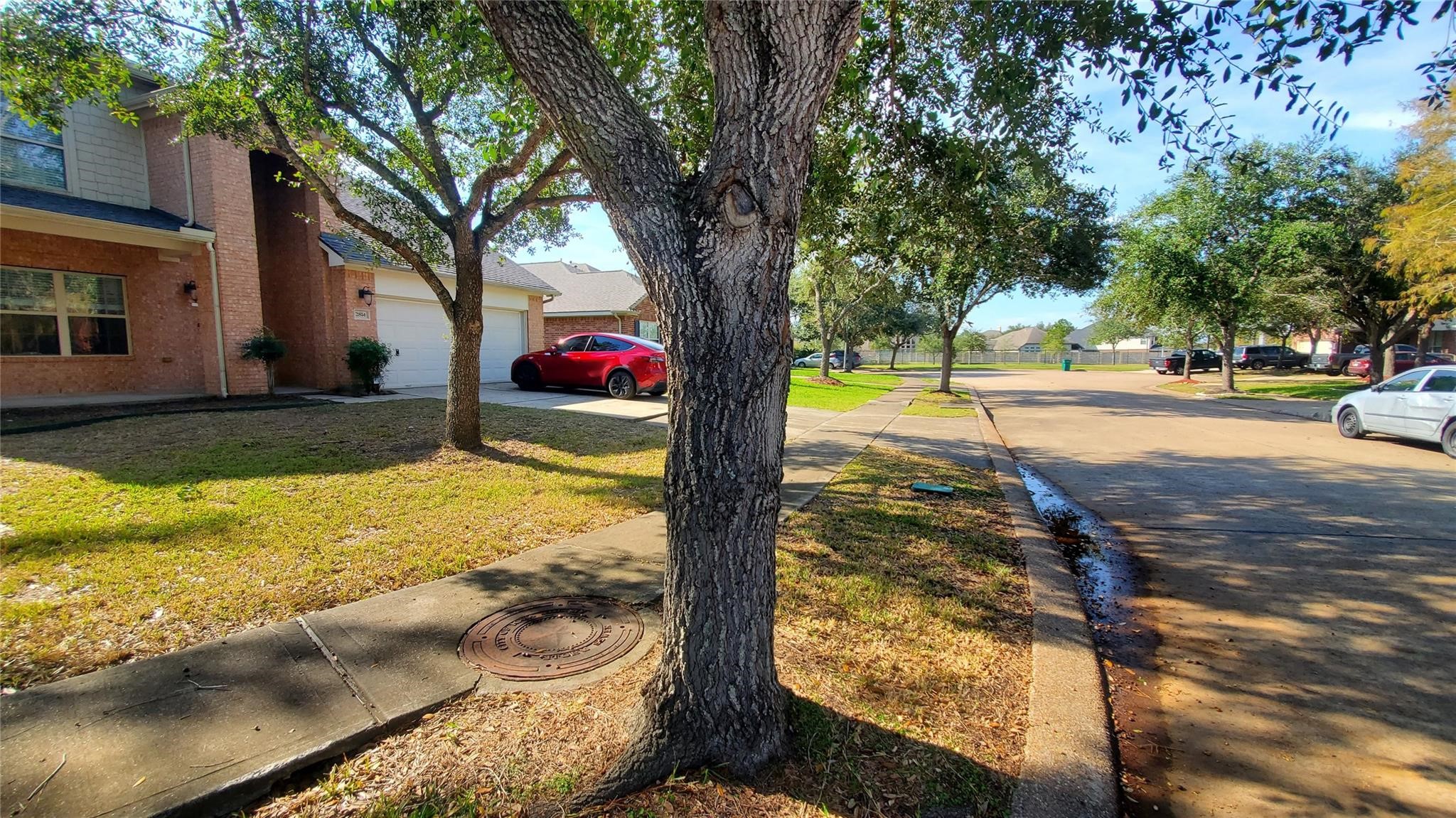 2814 Silver Point Lane Rosharon, TX 77583 - Photo 25 of 29 a view of a yard with an trees