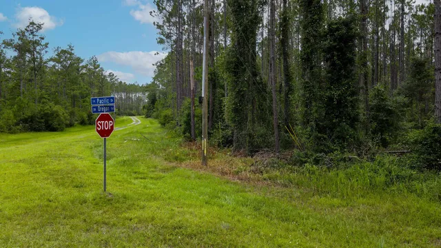 $235,000 | Lot 121 Southwest Pacific Drive, Greenville, FL 32331