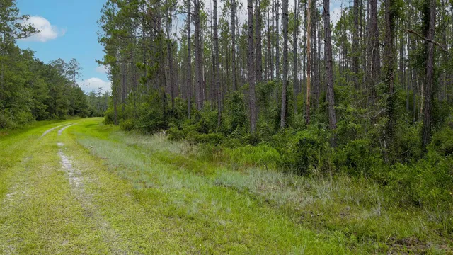 $235,000 | Lot 121 Southwest Pacific Drive, Greenville, FL 32331