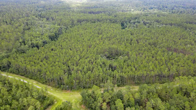 $235,000 | Lot 121 Southwest Pacific Drive, Greenville, FL 32331