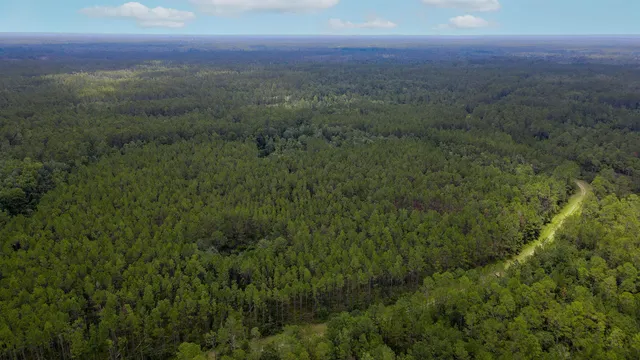 $235,000 | Lot 121 Southwest Pacific Drive, Greenville, FL 32331