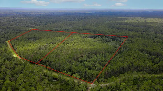 $235,000 | Lot 121 Southwest Pacific Drive, Greenville, FL 32331