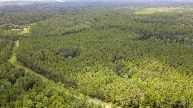 $235,000 | Lot 121 Southwest Pacific Drive, Greenville, FL 32331