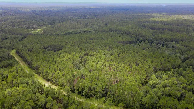 $235,000 | Lot 121 Southwest Pacific Drive, Greenville, FL 32331