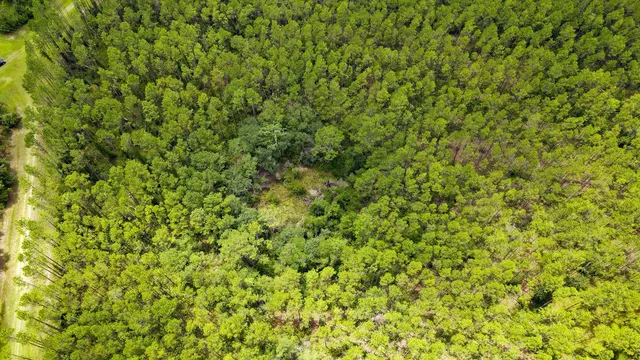 $235,000 | Lot 121 Southwest Pacific Drive, Greenville, FL 32331