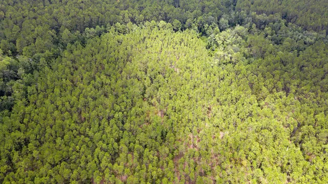 $235,000 | Lot 121 Southwest Pacific Drive, Greenville, FL 32331