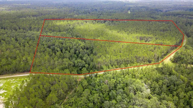 $235,000 | Lot 121 Southwest Pacific Drive, Greenville, FL 32331