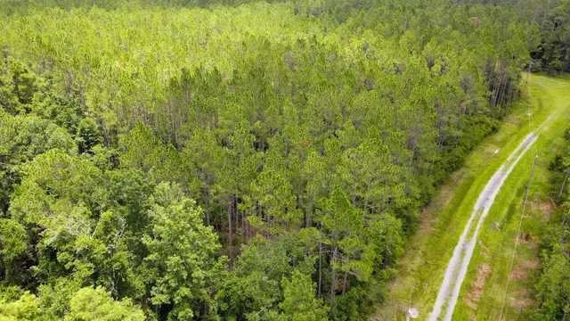 $235,000 | Lot 121 Southwest Pacific Drive, Greenville, FL 32331