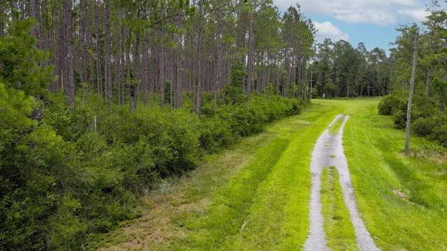 $235,000 | Lot 121 Southwest Pacific Drive, Greenville, FL 32331