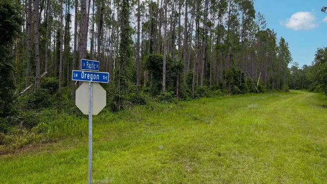 $235,000 | Lot 121 Southwest Pacific Drive, Greenville, FL 32331