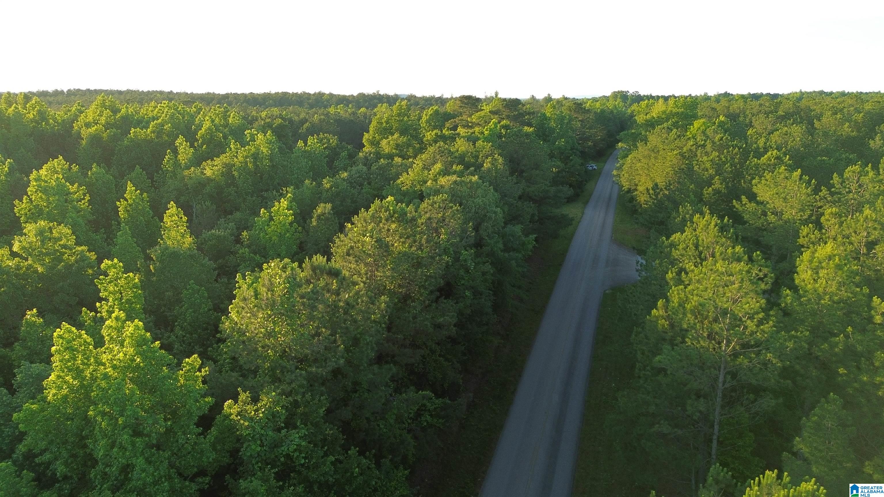 0 Bluff Springs Road Ashland, AL 36251 - Photo 3 of 8