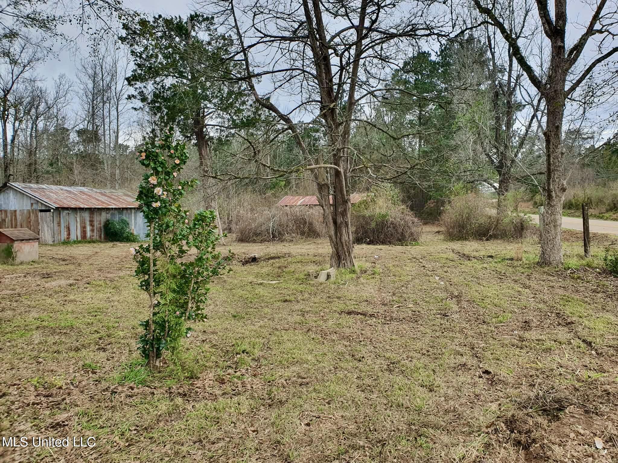 6042 Enterprise Road Summit, MS 39666 - Photo 14 of 14 att.XPeIoDLbxetNLwHcfo4_-rGTtm4IS1cI-bEB