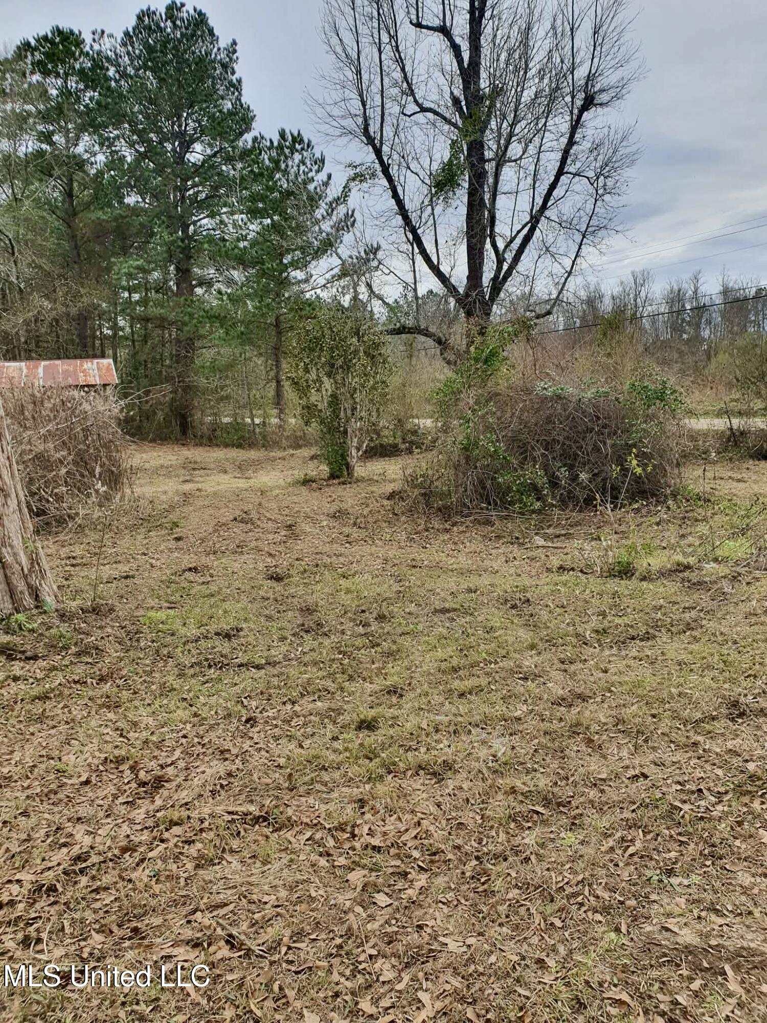 6042 Enterprise Road Summit, MS 39666 - Photo 4 of 14 att.lPi4GnNe0B_3PlWT0NCT5sTIL4-YZSeDp-OH