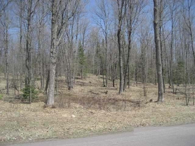 Lot 2 Timberline Road Mercer, WI 54547 - Photo 12 of 20 Gallery Image 12