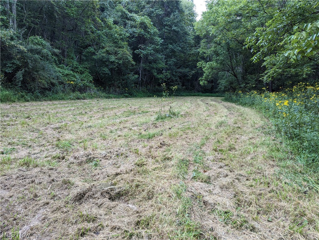 1671 Back Fork Road Big Springs, WV 26137 - Photo 15 of 19 View of yard