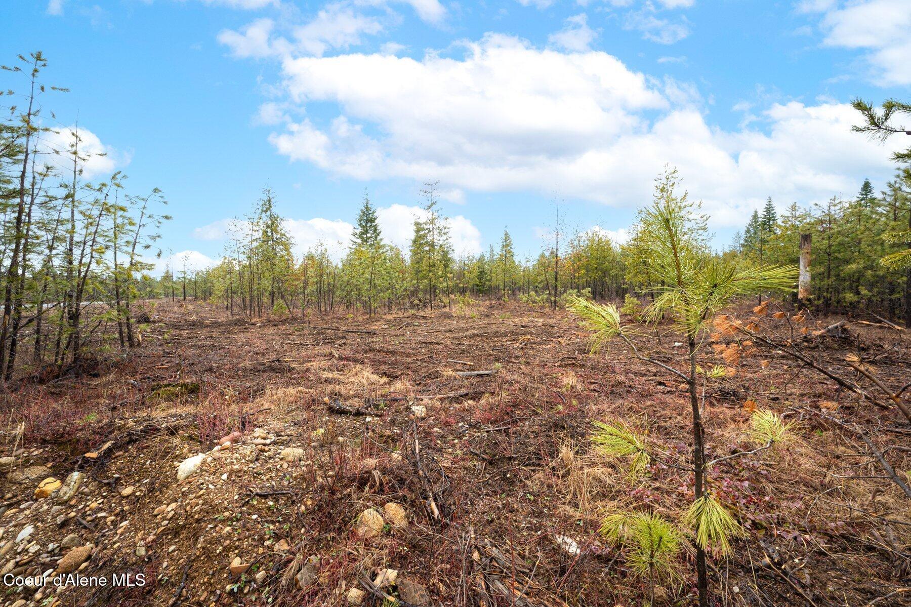 L7-b1 North Mountain View Road Rathdrum, ID 83858 - Photo 6 of 11 --7.jpg-SMALL