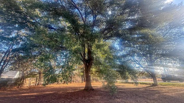 $259,500 | 1748 Highway 402, Moncks Corner, SC 29461