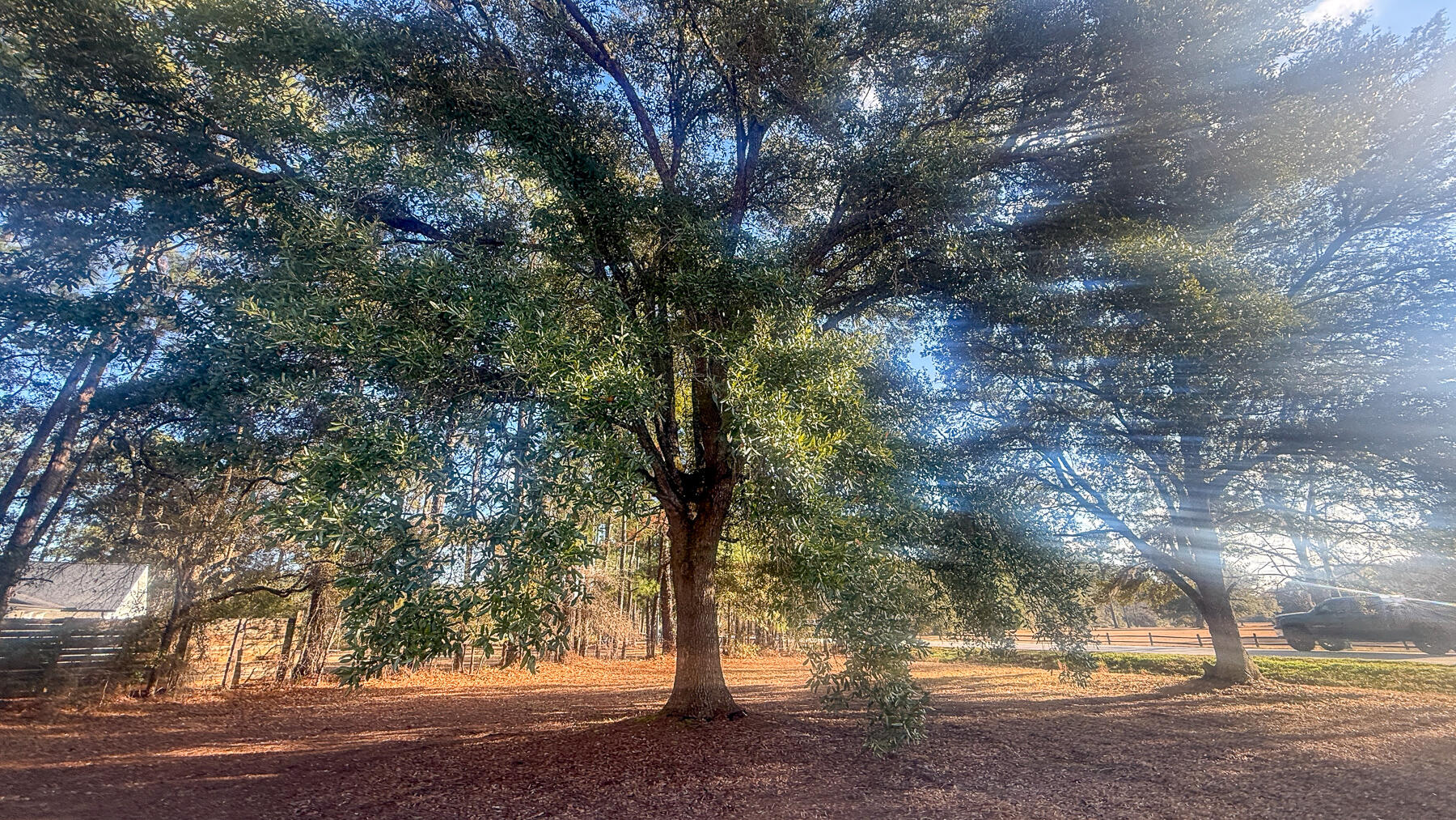 1748 Highway 402 Moncks Corner, SC 29461 - Photo 28 of 34 JHR-63