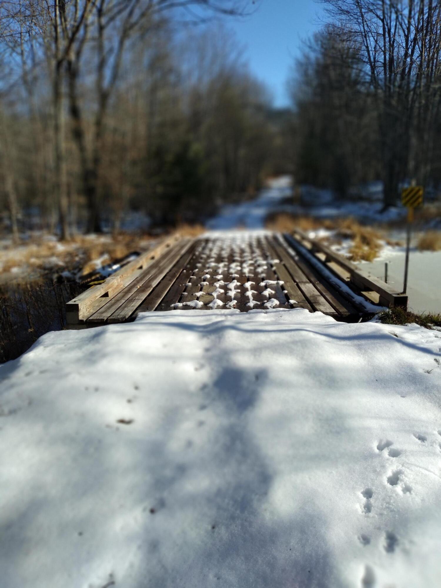 0 Mc Neil Road Fryeburg, ME 04037 - Photo 5 of 19 20211217_125732
