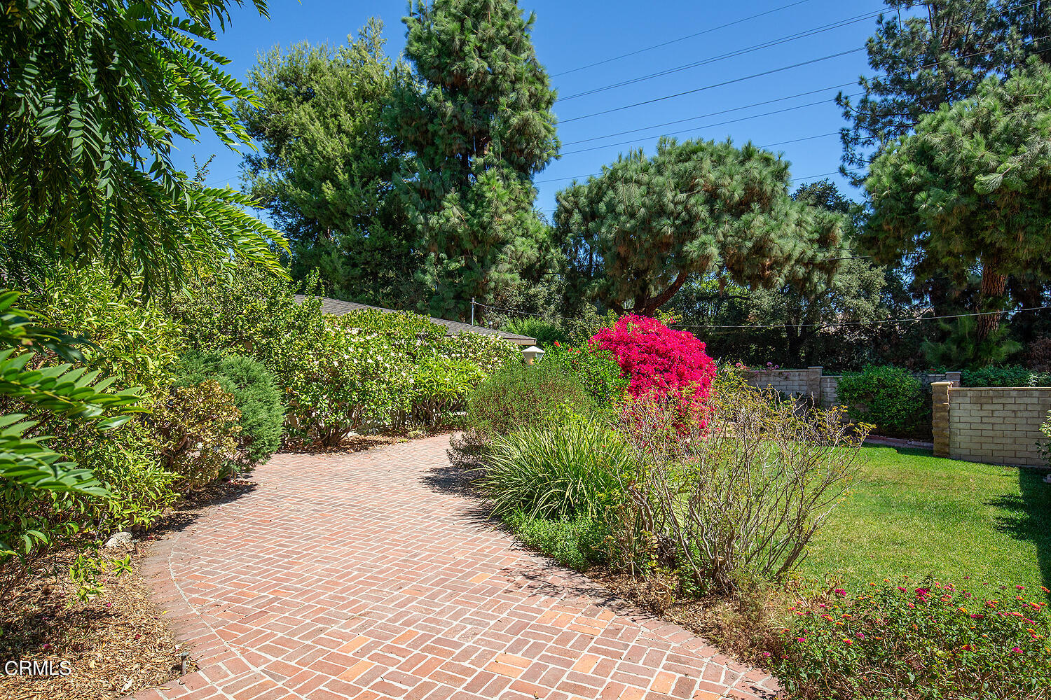 3880 Hampton Road Pasadena, CA 91107 - Photo 25 of 32 a view of a flower arrangement in backyard