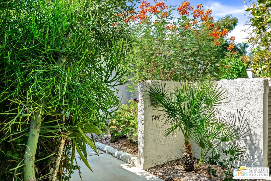 749 Inverness Drive Rancho Mirage, CA 92270 - Photo 1 of 1 a view of a plant in a garden
