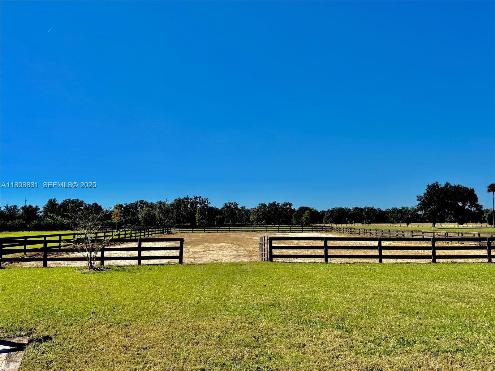 12424 Southwest 140th Loop Dunnellon, FL 34432 - Photo 19 of 20